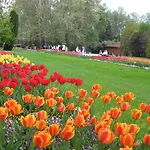 Bed & Breakfast Sante Heviz
