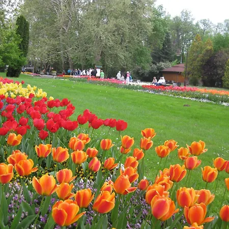 Bed & Breakfast Sante Heviz