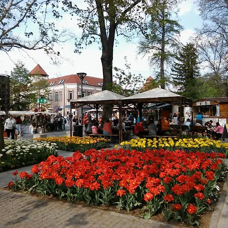 住宿加早餐酒店 Sante