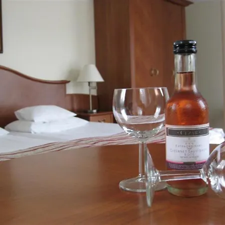 住宿加早餐酒店 Sante