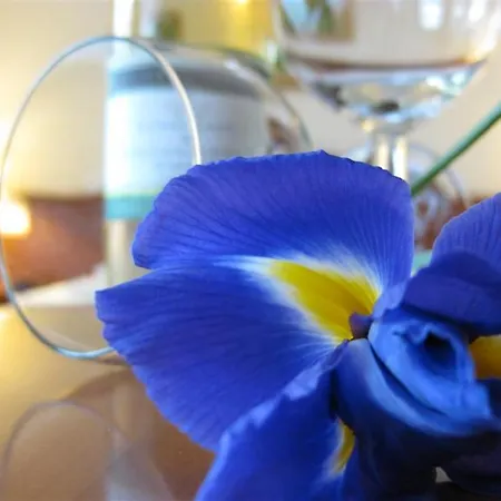 Sante 住宿加早餐酒店 3*