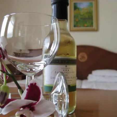 住宿加早餐酒店 Sante