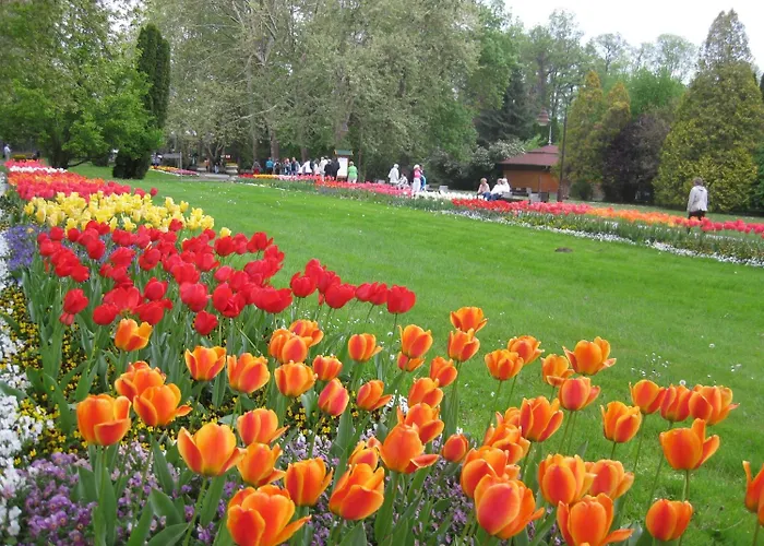 Bed & Breakfast Sante Heviz