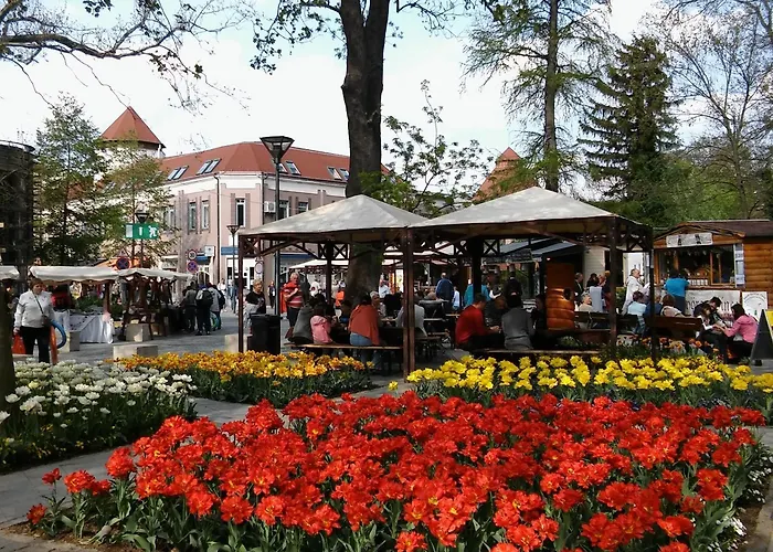 Bed & Breakfast Sante