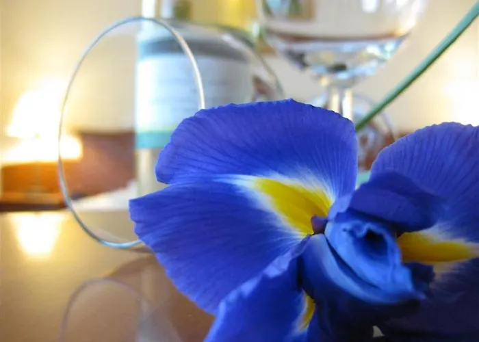 Sante ベッド・アンド・ブレックファスト 3*