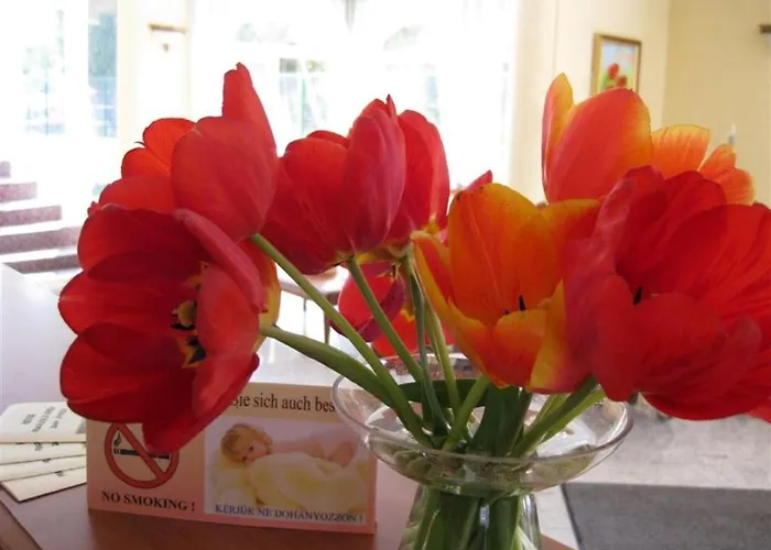 Bed & Breakfast Sante